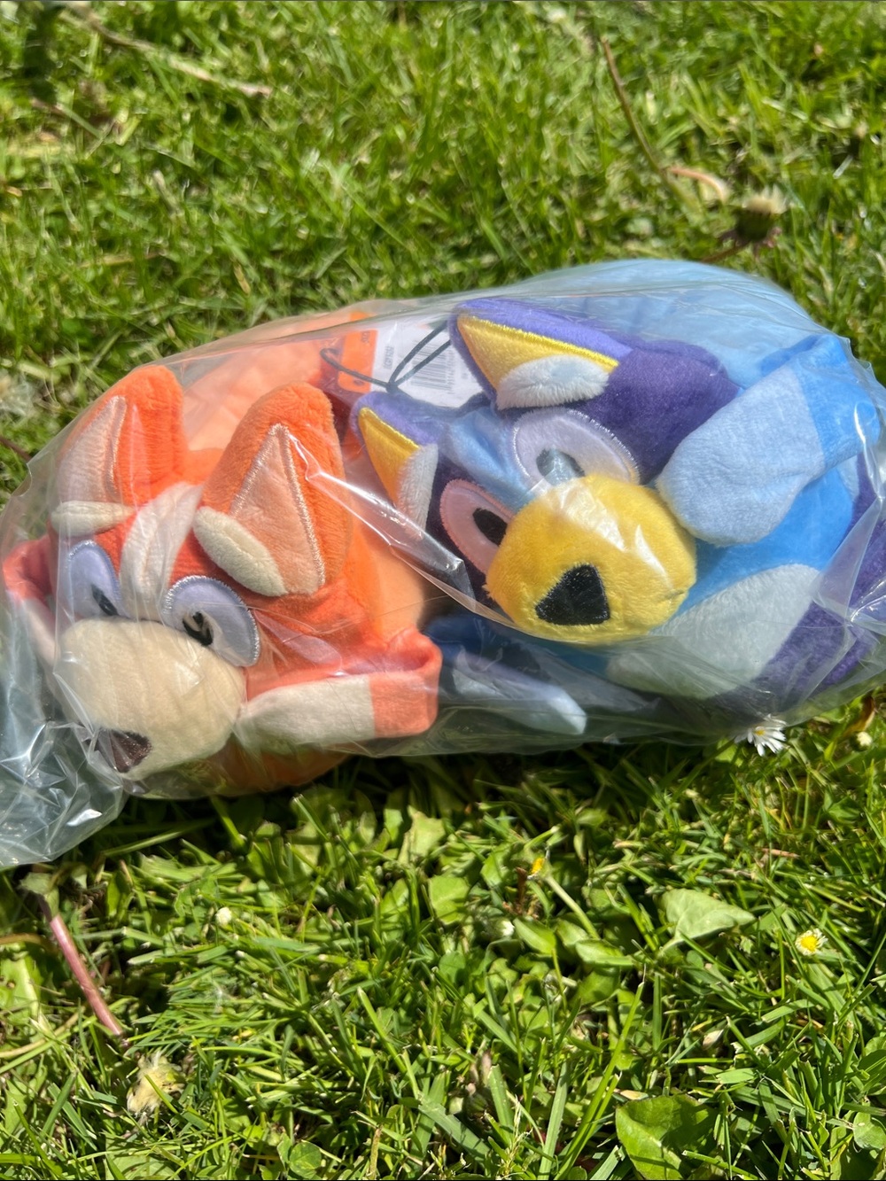 Kids Bluey Slippers